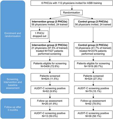 Alcohol Screening and Brief Intervention in Primary Health Care in Kazakhstan—Results of a Cluster Randomised Pilot Study